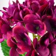 19  Deluxe Mophead Hydrangea Spray: Fuchsia Pink, Violet Cheap