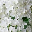 23  Hydrangea Bush: White Online Sale