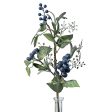 17  Leaf, Seed, Blueberry Spray For Discount