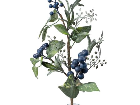 17  Leaf, Seed, Blueberry Spray For Discount