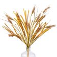 21  Wheat Bush: Brown Online now