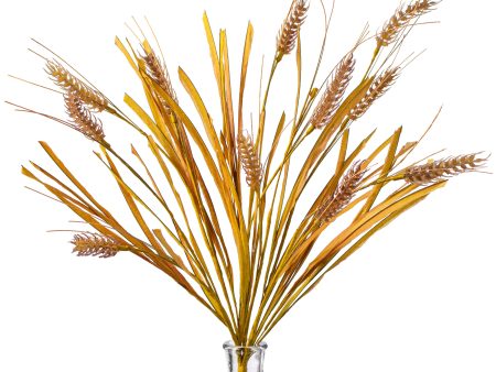 21  Wheat Bush: Brown Online now