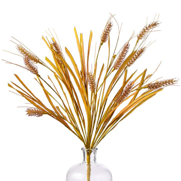 21  Wheat Bush: Brown Online now