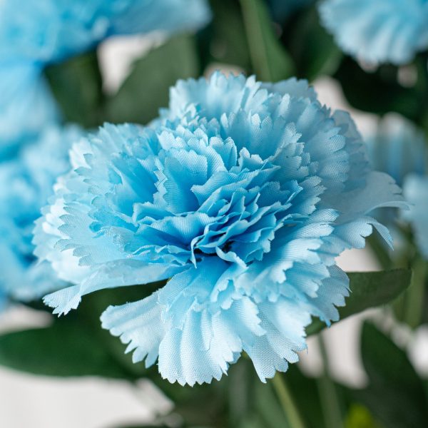 17  Colorfast Carnation Bush: Blue Hot on Sale