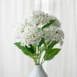 23  Hydrangea Bush: White Online Sale