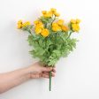 17  Mini Ranunculus Bush: Yellow Online