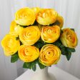 20  Ranunculus Bush: Yellow (12 Stem) Online now