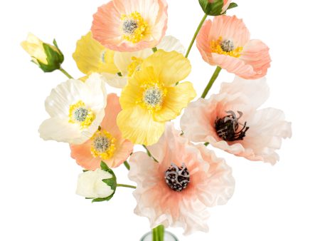 16  Poppy Bush: Cream, Pink, Yellow Online now