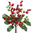 15  Holly Berry Pick: Red Online now