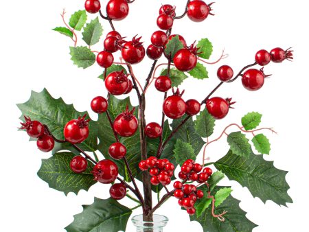 15  Holly Berry Pick: Red Online now