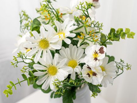 18  Mini Pansy Daisy Mix Bush: Cream (12) Hot on Sale