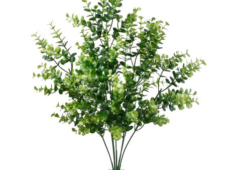 20  Eucalyptus Bush Hot on Sale