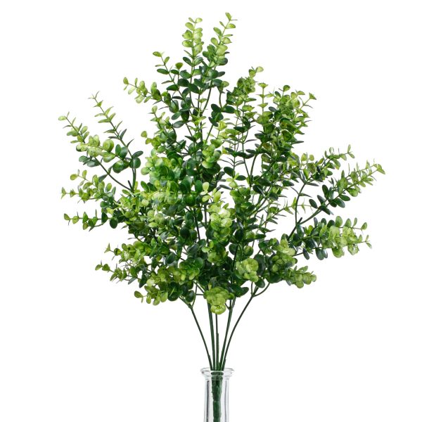 20  Eucalyptus Bush Hot on Sale