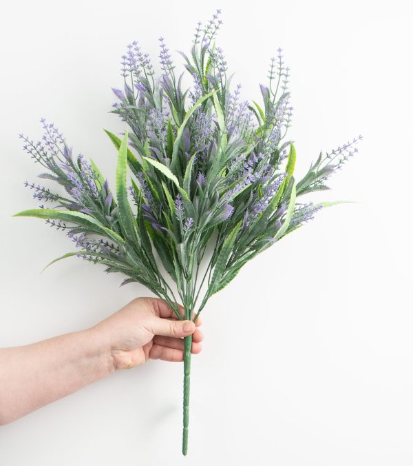 23  Lavender Bush Online now