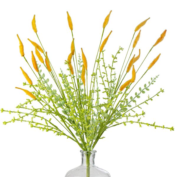 24  Bunny Tail & Leaves Bush: Orange Online now