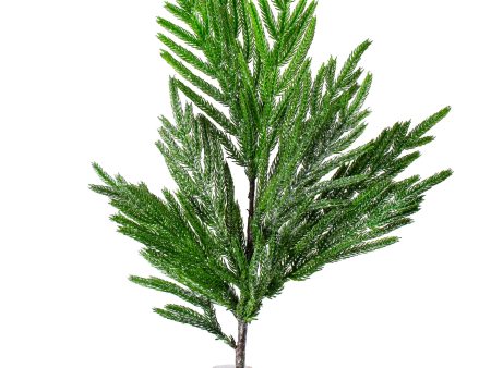 36  Frosted Fir Pine Branch Spray For Sale