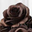 17  Colorfast Lillian Open Rose Bush (12): Chocolate Brown For Cheap