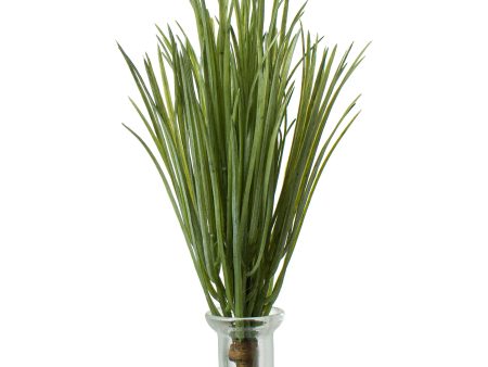 11  Monkey Grass Pick For Discount