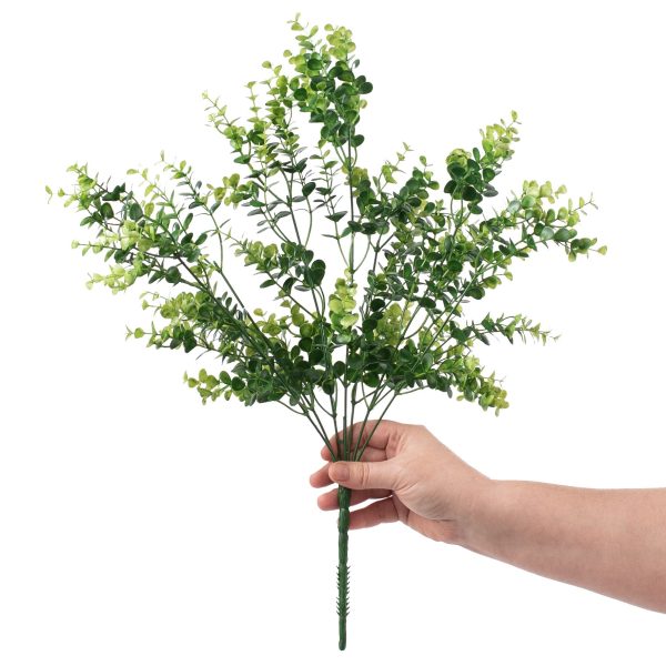 20  Eucalyptus Bush Hot on Sale