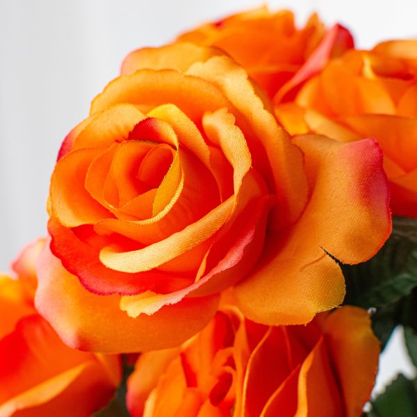 17  Colorfast Lillian Open Rose Bush: Orange For Cheap