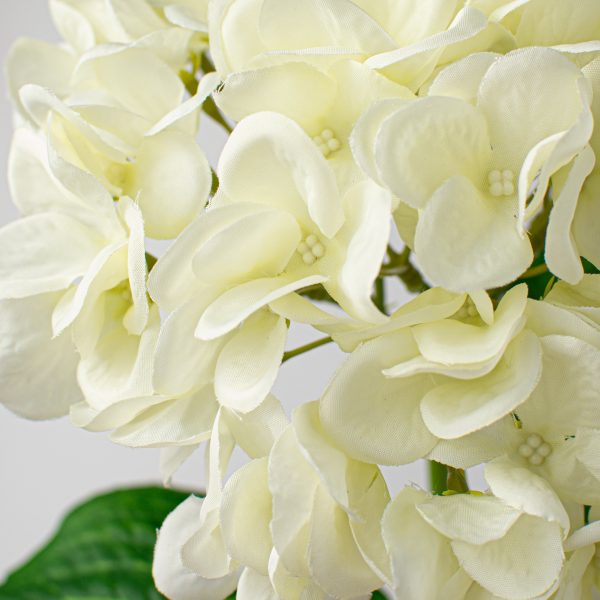 19  Deluxe Mophead Hydrangea Spray: Ivory, Cream Online Hot Sale