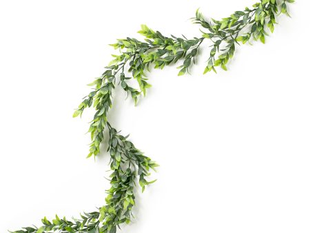 6  Ruscus Foliage Garland Fashion