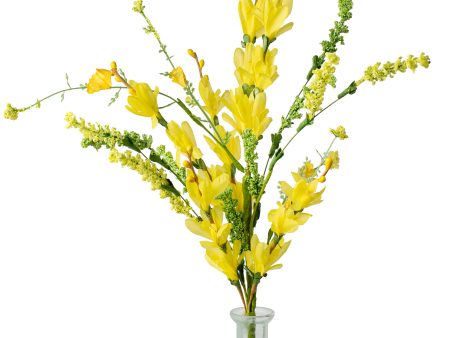 18  Forsythia and Heather Bush: Yellow Online Hot Sale