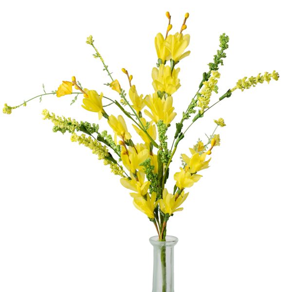 18  Forsythia and Heather Bush: Yellow Online Hot Sale