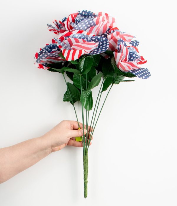 21  Colorfast American Flag Rose Bush Online Hot Sale