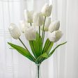 17  Tulips Bush: Cream Online Hot Sale