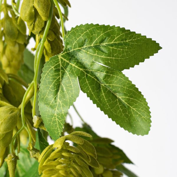 19   Hops Hanging Spray: Green Discount