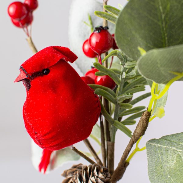 10  Berry, Eucalyptus, Pinecone Bird Pick: Red Online now