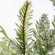 17  Hemlock Pine Spray Sale