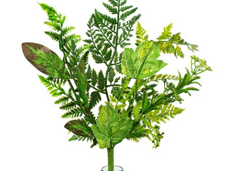 16  Fern & Leaves Pick Online