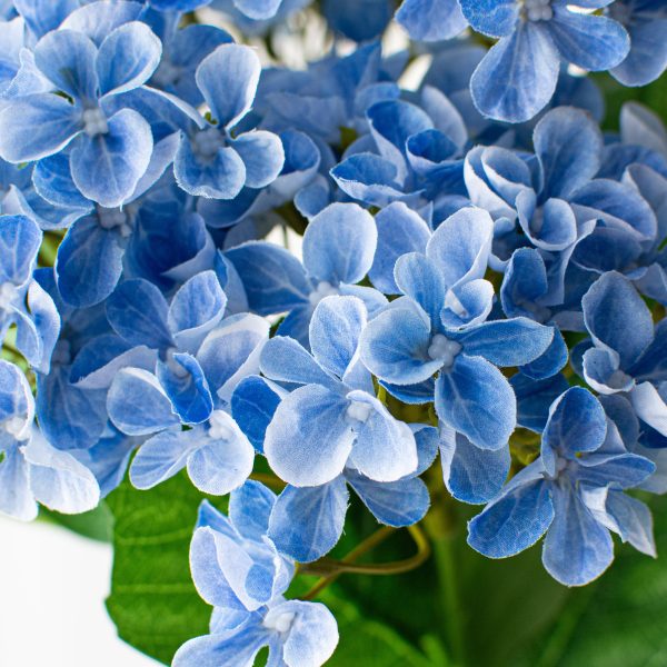 23  Hydrangea Bush: Blue Cheap