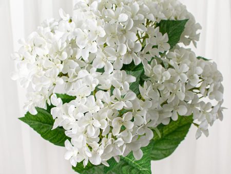 23  Hydrangea Bush: White Online Sale