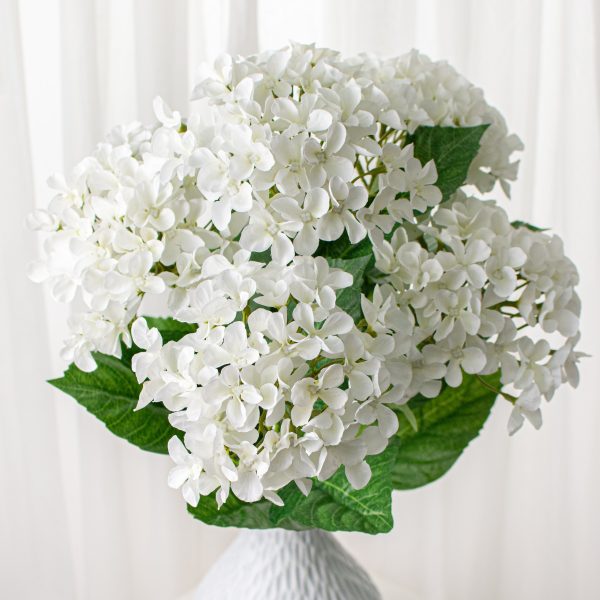 23  Hydrangea Bush: White Online Sale