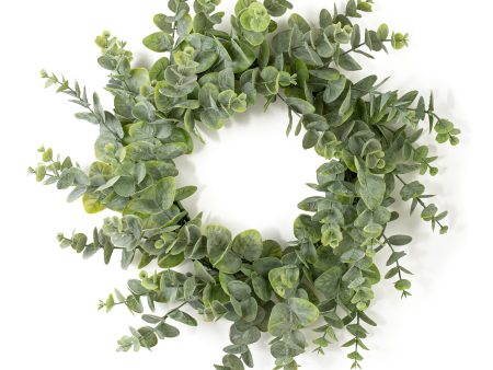 24  Spiral Silver Dollar Eucalyptus Wreath Fashion