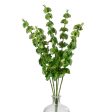 23  Bells of Ireland Bush (5 Stem) Online