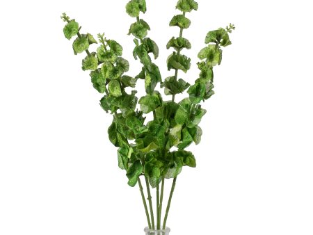 23  Bells of Ireland Bush (5 Stem) Online