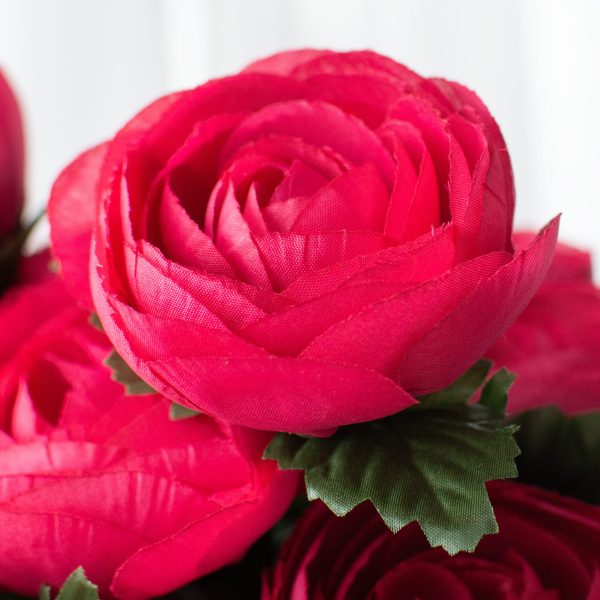 20  Ranunculus Bush: Fuchsia Pink (12 Stem) Discount