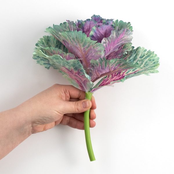 10  Kale Cabbage Plant Pick: Purple Fashion