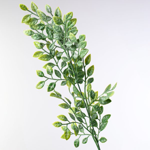 17  Green Leaf Foliage Bush Online