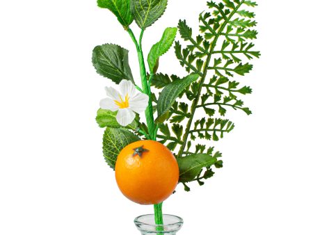 10  Fern, Greenery, Orange Pick Online