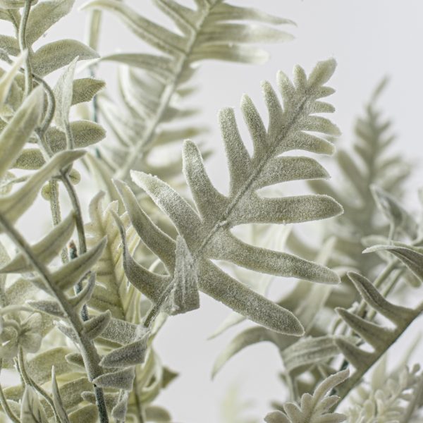 21  Fern Bush: Dusty Sage Online Hot Sale