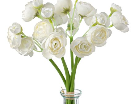 11  Mini Ranunculus Bundle: White Sale