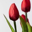 13  Tulip Bush: Red (9 Stem) Discount