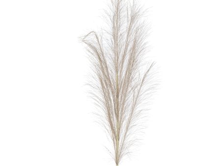 38  Metallic Pampas Grass Spray: Champagne Supply