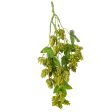 19   Hops Hanging Spray: Green Discount