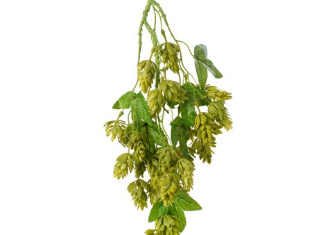 19   Hops Hanging Spray: Green Discount